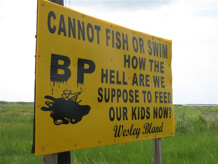 A sign along the highway near Grand Isle, La., on July 11, 2010, lays out the problem many struggling fishing families now face: With their fishing grounds closed by the oil spill in the Gulf of Mexico, they are forced to find something other than seafood to feed their families.